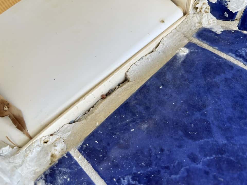 Pool deck tile cracked and in need of repair.